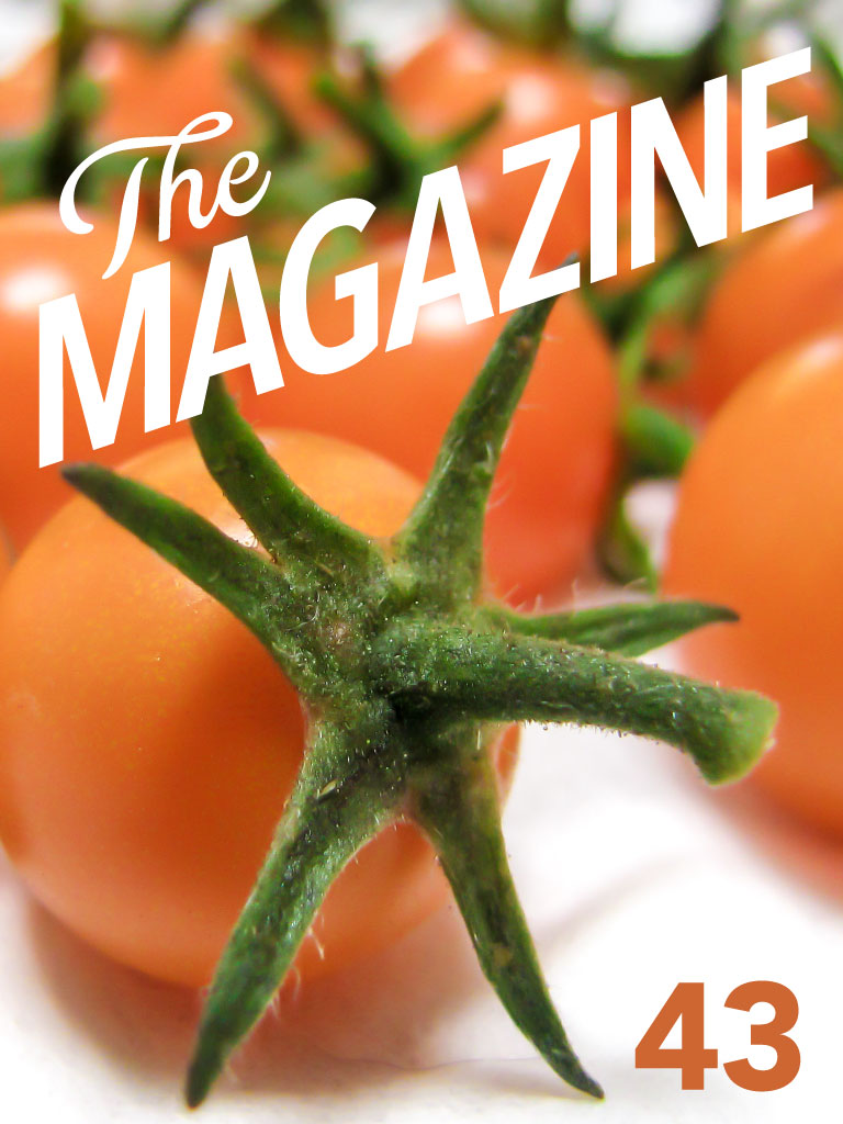 The cover of issue 43